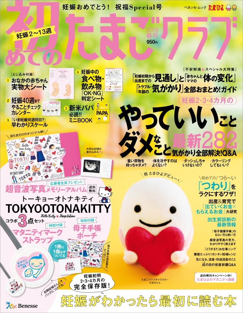 ベネッセ   be fa!   妊娠したら読む本 ベネッセ be fa! 妊娠したら読む本 91n1VxoZI8L._UF350